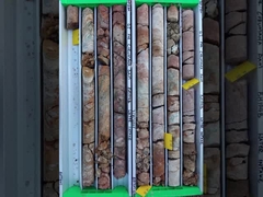 บิตแกนเพชรที่ชุบแล้ว